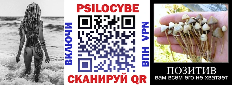 OMG рабочий сайт  Ахтубинск  Галлюциногенные грибы прущие грибы 